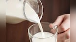 Size of Indian dairy market to jump over 2-fold to Rs 30 lakh crore by 2027: NDDB