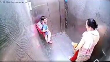 Caught on camera: Dog bites child inside lift, owner remains unaffected