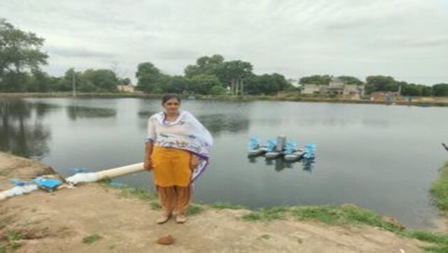 Turning the curse of saline water into boon, women in Haryana try their hand at shrimp production Turning the curse of saline water into boon, women in Haryana try their hand at shrimp production