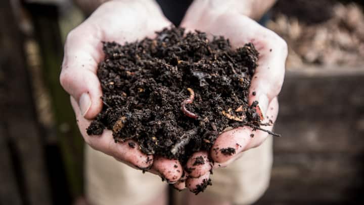 A new way to say goodbye: How some US-based companies are turning deceased humans into compost A new way to say goodbye: How some US-based companies are turning deceased humans into compost