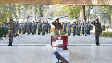 WATCH: Army pays tribute to military canine warrior Zoom who died fighting terrorists in Anantnag