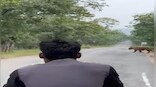 Watch: Tourists follow tiger to snap photographs in MP’s Panna Tiger Reserve