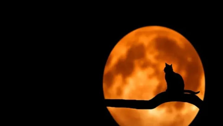 Bhoot Chaturdashi 2022: All you need to know about Bengal's 'Halloween day'