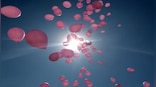 Breast cancer awareness month: How breast cancer affects fertility