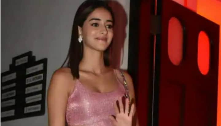 Ananya Panday channels her inner Poo and recreates K3G scenes, Kareena Kapoor thinks she is 'Faaaabbbb'