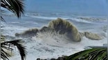 Three of a family among seven killed as cyclone Sitrang hits Bangladesh