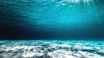 Explained: How scientists discovered proof of the world’s 6th ocean by examining a diamond