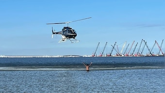 Florida man escapes crime scene by jumping into sea; here's what happened next