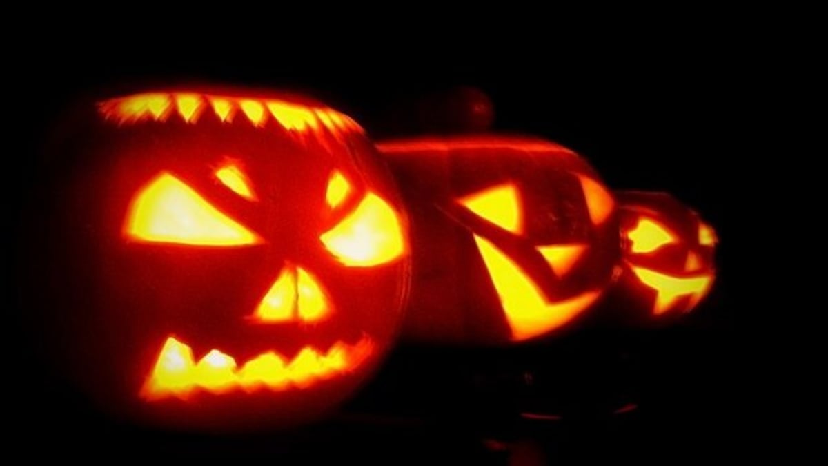 Halloween 2022: Some fun facts we bet you didn't know about the spooky festival