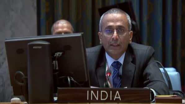 Global fight against terrorism can't be compromised for political games: India at UN over Syrian conflict