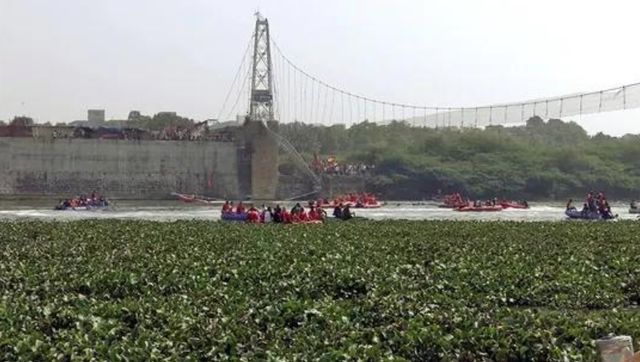 Morbi bridge collapse: Gujarat police arrest 9, including managers of company that renovated it for seven months Morbi bridge collapse: Gujarat police arrest 9, including managers of company that renovated it for seven months
