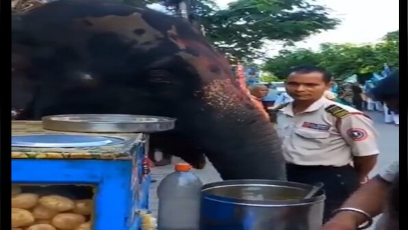 Elephant enjoys pani puri while coming back from ride; video goes viral