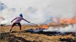 Concentrated stubble burning around Diwali may compound problem, says CSE