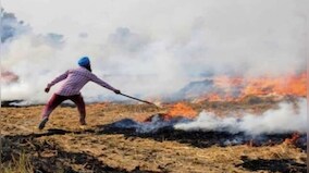 Concentrated stubble burning around Diwali may compound problem, says CSE