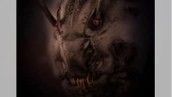 Terrifying close-up photo of ant's face wins prize at Nikon competition