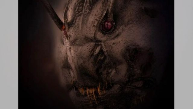 Terrifying close-up photo of ant's face wins prize at Nikon competition Terrifying close-up photo of ant's face wins prize at Nikon competition