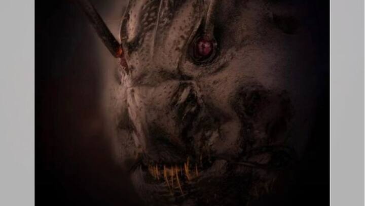 Terrifying close-up photo of ant's face wins prize at Nikon competition