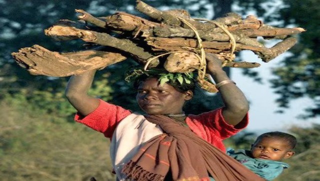 International Girl Child Day: Climate change is not gender neutral, cognizance of vulnerabilities is crucial International Girl Child Day: Climate change is not gender neutral, cognizance of vulnerabilities is crucial