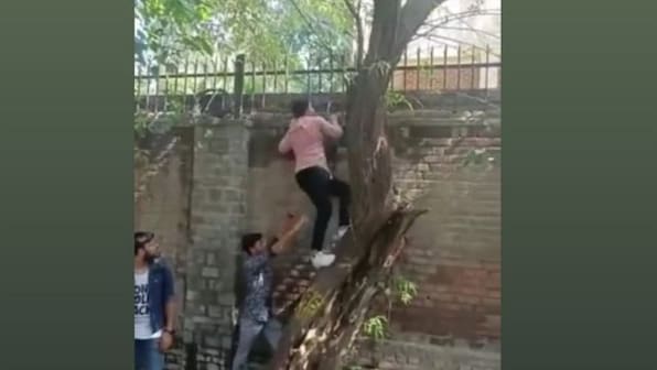 Watch: Men 'climb' walls of Miranda House to see Diwali fest, students complain of harassment