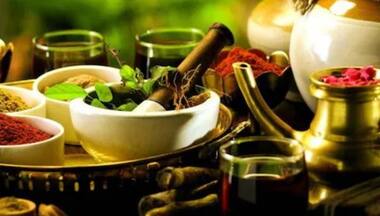 Ayurveda Day 2022: A brief guide to understanding what Ayurveda is