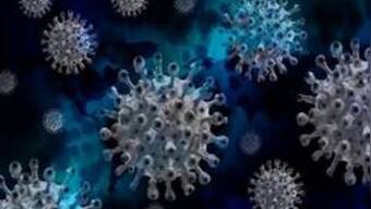 Covid pandemic led to prolonged decline in global life expectancy, suggests study