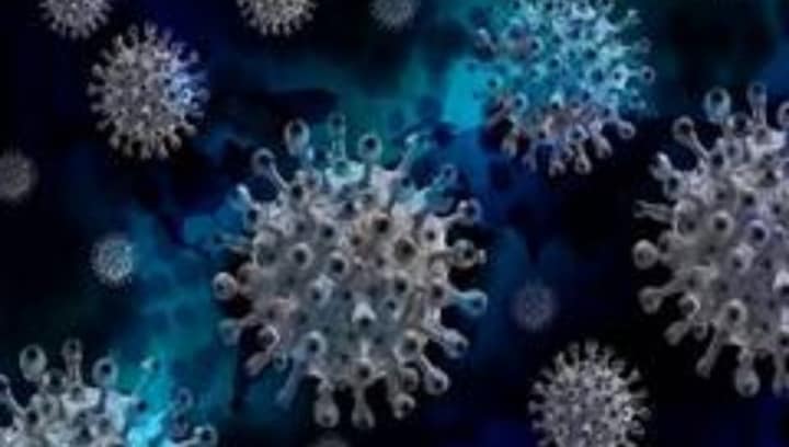 Covid pandemic led to prolonged decline in global life expectancy, suggests study Covid pandemic led to prolonged decline in global life expectancy, suggests study