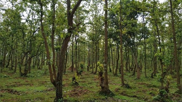 Uttarakhand: Former DGP, seven others booked for 'illegal' possession of forest land