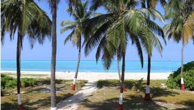 ‘Blue Flag’ for two more Indian beaches: What’s this certification?