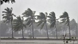 Weather Alert: Monsoon rain in these 11 states for 3 days from today, IMD issues alert