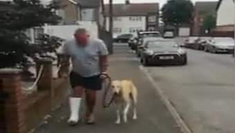 Watch: Dog imitates its injured owner in heart-warming video, Harsh Goenka shares clip
