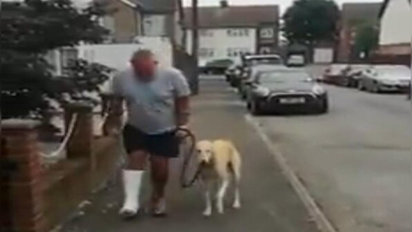 Watch: Dog imitates its injured owner in heart-warming video, Harsh Goenka shares clip