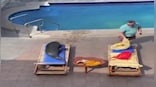 Watch: Internet left in splits after sea lion enters hotel, takes man’s lounge chair