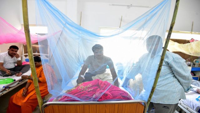 The Sting is Back: How dengue has wreaked havoc in India as well as Pakistan and Sri Lanka The Sting is Back: How dengue has wreaked havoc in India as well as Pakistan and Sri Lanka