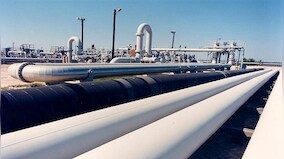 Amid fuel shortage, US banks on Strategic Petroleum Reserve: What is it?