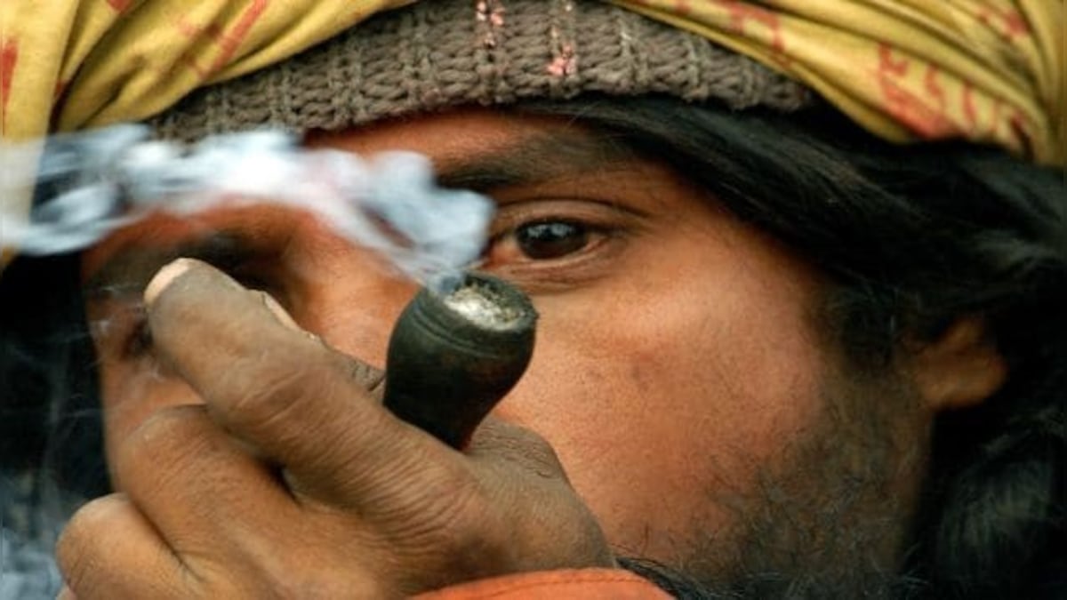 ‘High time’ to follow US? Examining cannabis’ legal status in India