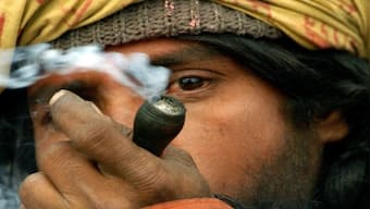 ‘High time’ to follow US? Examining cannabis’ legal status in India