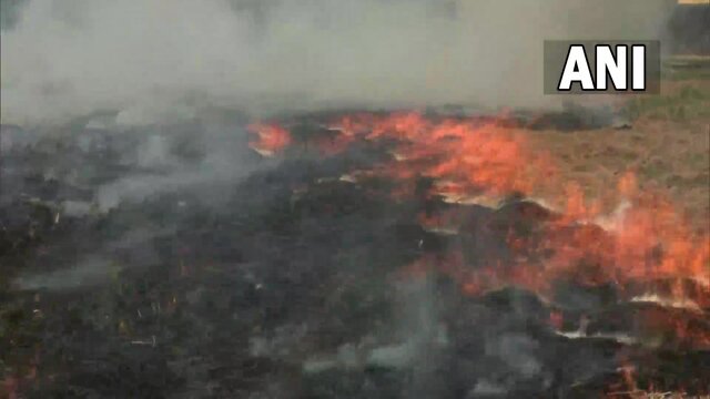 Delhi NCR should brace for another choking winters as stubble burning continues in Punjab Delhi NCR should brace for another choking winters as stubble burning continues in Punjab