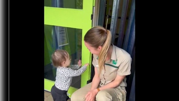 Watch: Toddler's attempt to 'break' into Melbourne Zoo leaves internet chuckling
