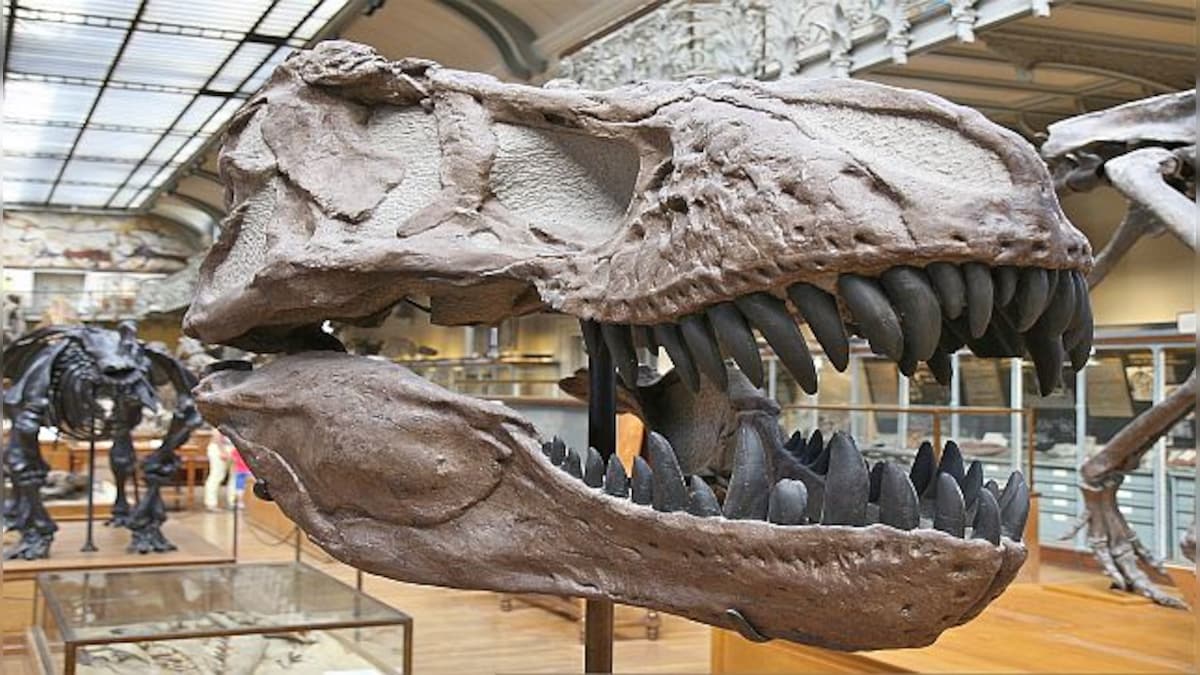 Toys for the rich: Do multimillion-dollar dinosaur auctions erode trust in science?