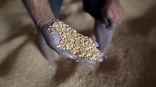 Centre hikes wheat MSP by Rs 110 to Rs 2,125 per quintal