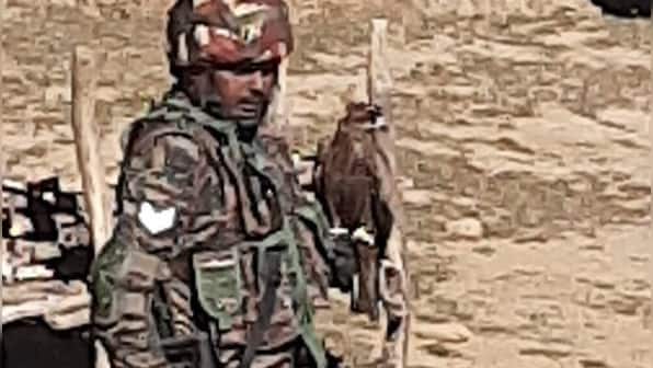 Counter-Strike: How the Indian Army is training kites to fight Pakistani drones