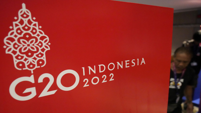 Russia under blame as G20 summit tackles Ukraine war, soaring food prices Russia under blame as G20 summit tackles Ukraine war, soaring food prices