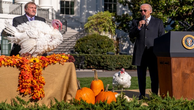 No Fowl Play: Why US presidents pardon turkeys on Thanksgiving No Fowl Play: Why US presidents pardon turkeys on Thanksgiving