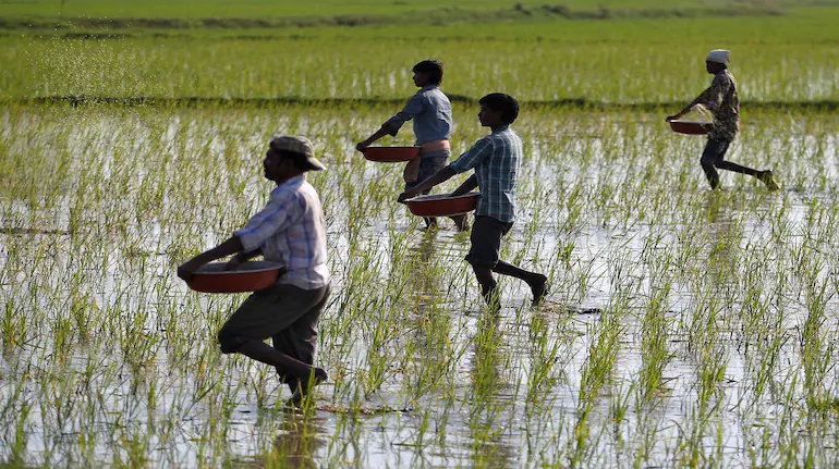 Cabinet nod for Rs 51,875 crore subsidy for P&K fertilisers ahead of Rabi season