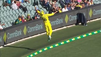 Watch: Ashton Agar's extraordinary fielding at boundary wins internet