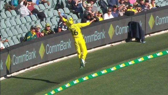 Watch: Ashton Agar's extraordinary fielding at boundary wins internet Watch: Ashton Agar's extraordinary fielding at boundary wins internet