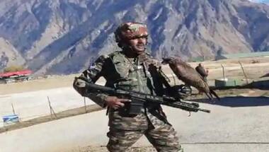 WATCH: How Indian kite takes the bite out of Pakistan drones
