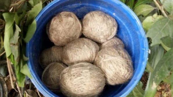 West Bengal: 2 children injured while playing with bombs