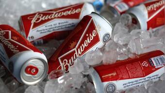 FIFA World Cup: Organisers to ban alcoholic beer sales in stadiums