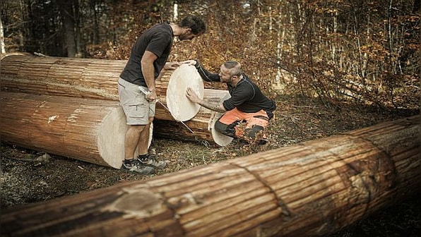 The Sound of Music: How climate change threatens quality of acoustic guitars, violins and other string instruments
